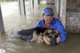 Как в США спасали домашних животных от урагана «Харви». ФОТО