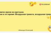 У моді зараз не брови та сідниці… Новий тренд – дівчина з сіллю та каністрою бензину! Анекдоти на злобу дня (ФОТО)