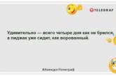 Якби ти вмів читати жіночі думки, ти все одно нічого не зрозумів би: кумедні жарти про чоловіка (ФОТО) 