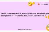 Свою суботу я присвячую дивані: веселі жарти про вихідні (ФОТО) 