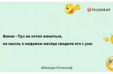 Коли в організм потрапляє дуже багато роботи, він починає виробляти антисправи: нові життєві анекдоти (ФОТО)