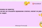 Життя на дачі є, якщо там немає дружини, тещі та городу: актуальні анекдоти про дачників (ФОТО) 