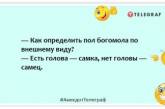 Самка богомола дуже здивувалася, зустрівши свого колишнього: кумедні жарти про світ тварин (ФОТО)