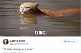 Новый герой уморительных мемов: злой кот из Хьюстона. ФОТО