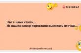 Щоб заснути, дівчатка вважають літри випитою ними крові, і засинають із посмішкою: позитивна добірка жартів (ФОТО)