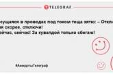 Ховали тещу — спіймали двох покемонів: анекдоти, які оцінять усі зяті (ФОТО)