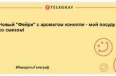 Повеселіться від душі цього ранку: милі анекдоти для відмінного настрою (ФОТО)