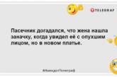 Робити з пасіки контактний зоопарк - не найкраща ідея: жарти про бджіл (ФОТО)