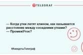 Небагато веселощів ніколи не завадить: свіжа добірка анекдотів