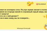 Вчора у мене вкрали гаманець. Ходив у поліцію. Це не вони: найсвіжіші анекдоти для настрою (ФОТО)