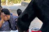 Дикий ведмідь неочікувано прийшов на пікнік сім'ї: реакція мами ошелешила (відео)