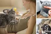 Чому коти роблять "масаж" лапками господарям: відповідь вчених