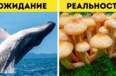 Думаєте, це марення? Ні, це 17 наукових фактів, які перевернуть ваше уявлення про цю планету