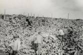 Китайские рабочие на передовой Первой мировой войны. ФОТО