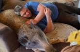 Мисливець приніс додому дикого кабана: 80-кілограмова тварина живе у будинку і спить на дивані (відео)
