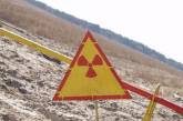 Земли Чернобыля отдадут под нужды сельского хозяйства
