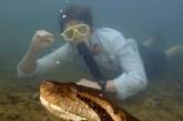 Найбільшу змію на планеті вбили мисливці: який вона мала вигляд (фото, відео)