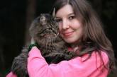 Вихований кіт: як заохочувати кота за гарну поведінку