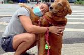 Собака обожнює обійми і жоден незнайомець не може їй відмовити у цьому