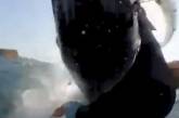 Горбатий кит вистрибнув із води та збив серфінгіста – відео