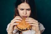 Вчені заявили, що мозок людини запрограмований на пошук нездорової їжі