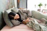 Добре подумайте перед тим, як це робити: Чи корисно спати з домашніми улюбленцями?