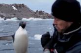 Пингвин испугал мужчину, неожиданно запрыгнув к нему в лодку