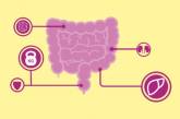Три простых способа улучшить здоровье кишечника назвали ученые