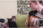 На видео попал черный котик, поющий блюз под гитару
