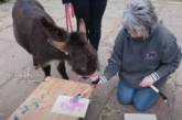 Ослики занялись живописью под руководством своей хозяйки (ВИДЕО)