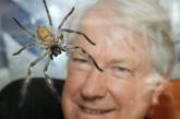 Австралиец на три недели поселится в витрине с ядовитыми пауками