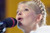 На митинг предпринимателей в Киеве пришла Юлия Тимошенко 