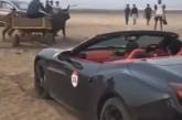 Застряглий у піску суперкар Ferrari витягувала пара волів (відео)