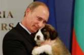 Путину предложили назвать щенка Азаровым  