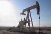 Украину допустили к месторождениям нефти в Сахаре