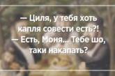 "Ша! Одесса имеет сказать пару слов!": свежая порция искрометного юмора