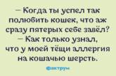 Улыбка до ушей: "убойные" приколы от настоящих оптимистов. ФОТО