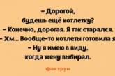 Пять минут смеха: смешные анекдоты для любителей тонкого юмора. ФОТО