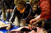 Эксцентричная губернатор Канады поддержала эскимосов, публично съев сырое мясо тюленя