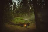 Волшебная 200-летняя избушка в шведском лесу. ФОТО