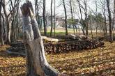 Канадский лесоруб принял произведение искусства за дрова