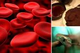 10 странных и неожиданных способов использования крови. ФОТО