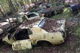 Old Car City — свалка классических автомобилей в США. ФОТО