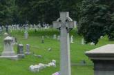 Голый американец фотографировал духов на кладбище