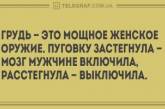 Убойные анекдоты о женской логике и мужском мозге. ФОТО