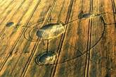 В России на пшеничном поле появились загадочные круги