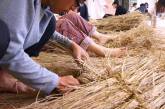 Забавные гиганты: Японские студенты нашли неожиданное применение рисовой соломе