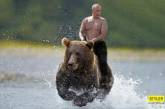 Маразм крепчает: в России можно купить резинового Путина на медведе. ФОТО