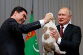 «Жалко щенка»: соцсети высмеяли фотографию Путина и его нового друга. ФОТО