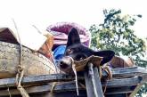 В Индии спасли собак, которых собирались пустить на мясо. ФОТО